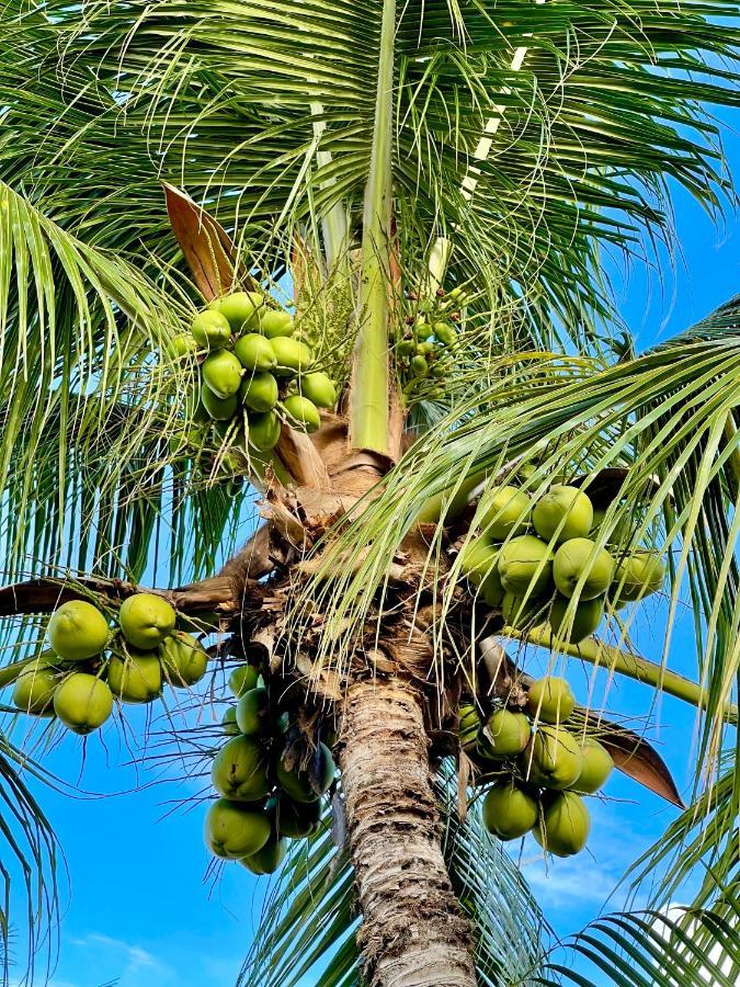 Bangalo De Madeira Em Condominio De Praia Camaçari Exterior foto