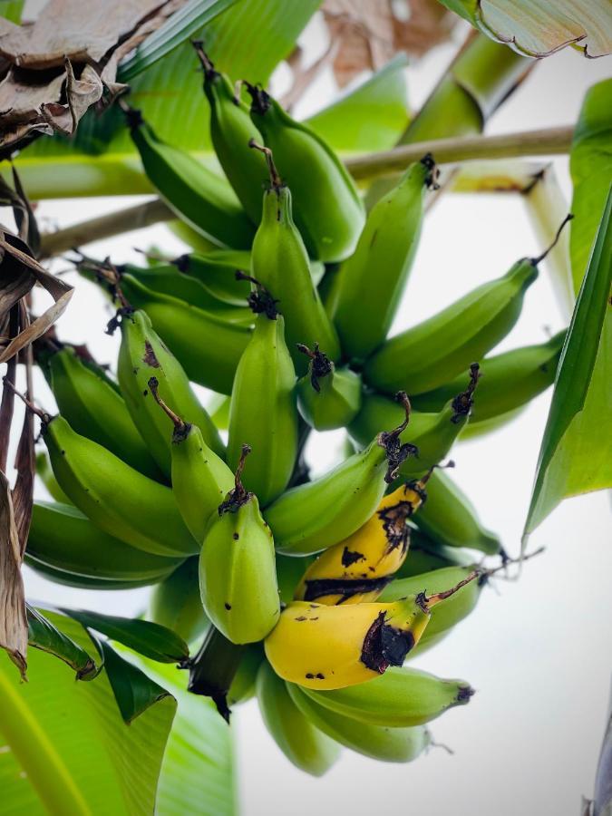 Bangalo De Madeira Em Condominio De Praia Camaçari Exterior foto